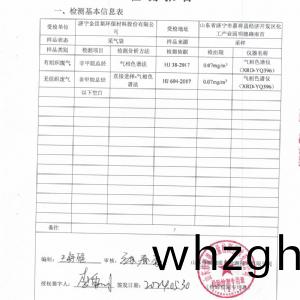 檢測報(bào)告（2024.05.30）