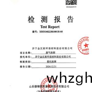 檢測報告(2024.12.31)