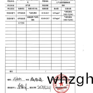 檢測報告(2024.12.31)