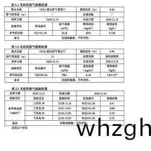 檢測報告(2024.12.31)