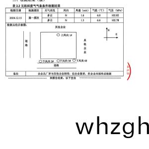 檢測報告(2024.12.31)
